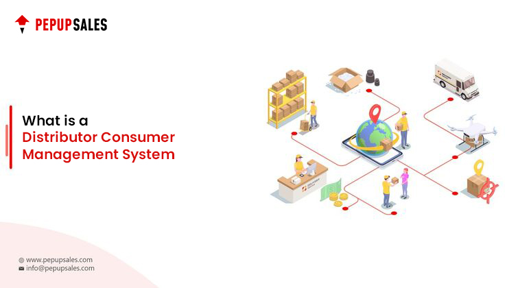 What is a Distributor Consumer Management System