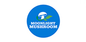 moon-light-msuhroom